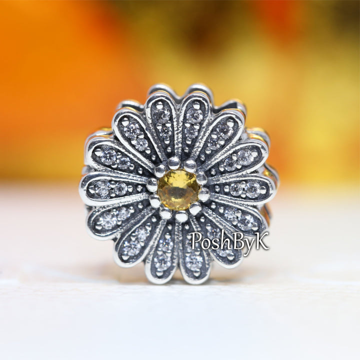 Sparkling Daisy Flower Clip Charm 798766C01 ,jewelry, beads for charm, beads for charm bracelets, charms for diy, beaded jewelry, diy jewelry, charm beads 