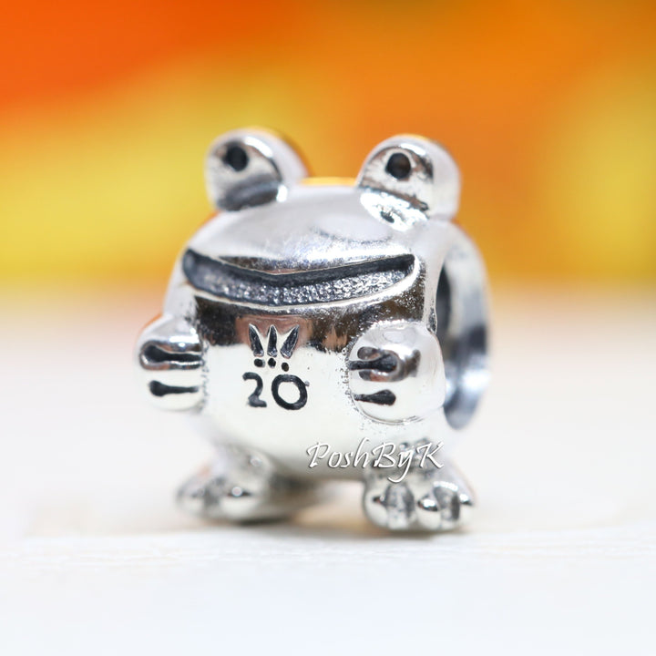 2020 Limited Edition Frog Charm 798953C00 jewelry, beads for charm, beads for charm bracelets, charms for diy, beaded jewelry, diy jewelry, charm beads