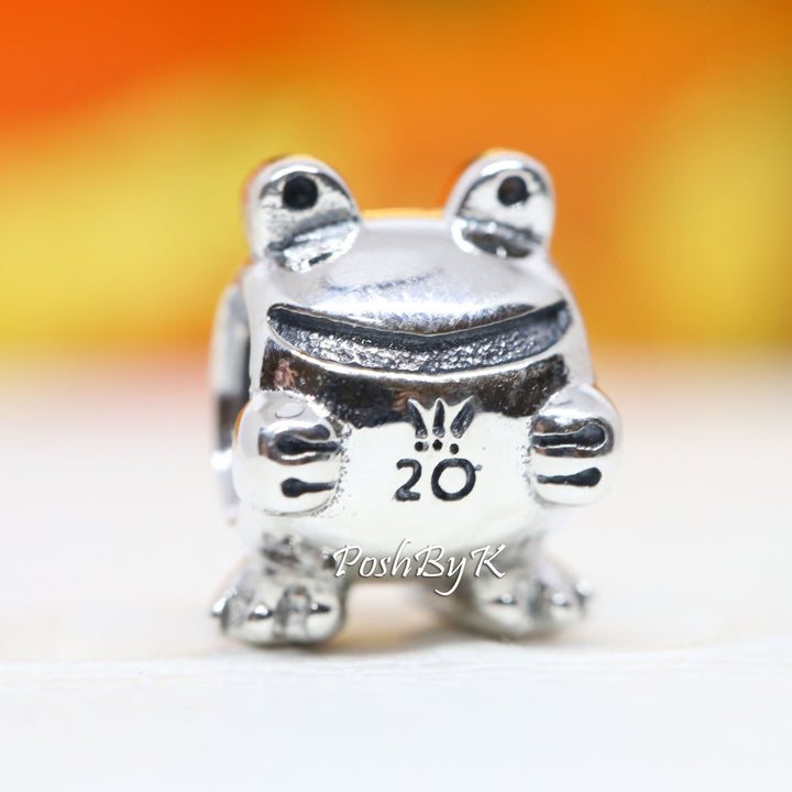 2020 Limited Edition Frog Charm 798953C00 jewelry, beads for charm, beads for charm bracelets, charms for diy, beaded jewelry, diy jewelry, charm beads